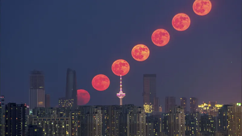 Lune des Fraises 2026 : Date, Heure et Guide d'Observation