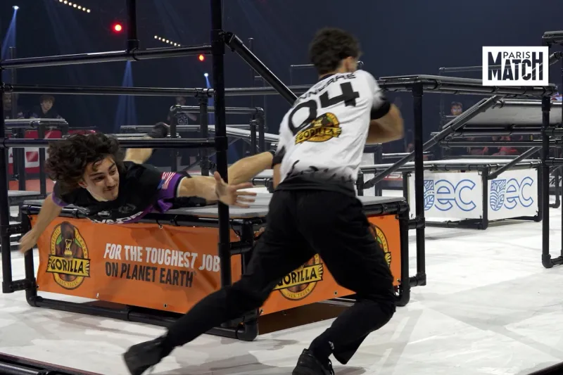 Le chat devient un sport : championnats World Chase Tag