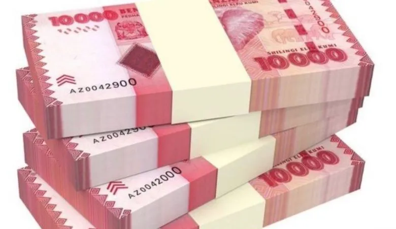 La Tanzanie alloue 56,25 milliards/- pour achever 105 hôpitaux de district
