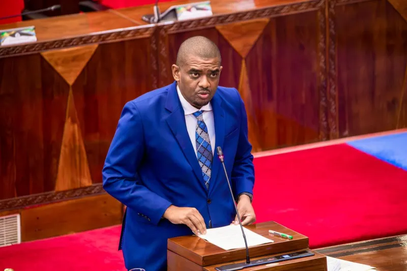La Tanzanie présente un budget énergétique de 1,6 milliard de dollars pour 2026/27