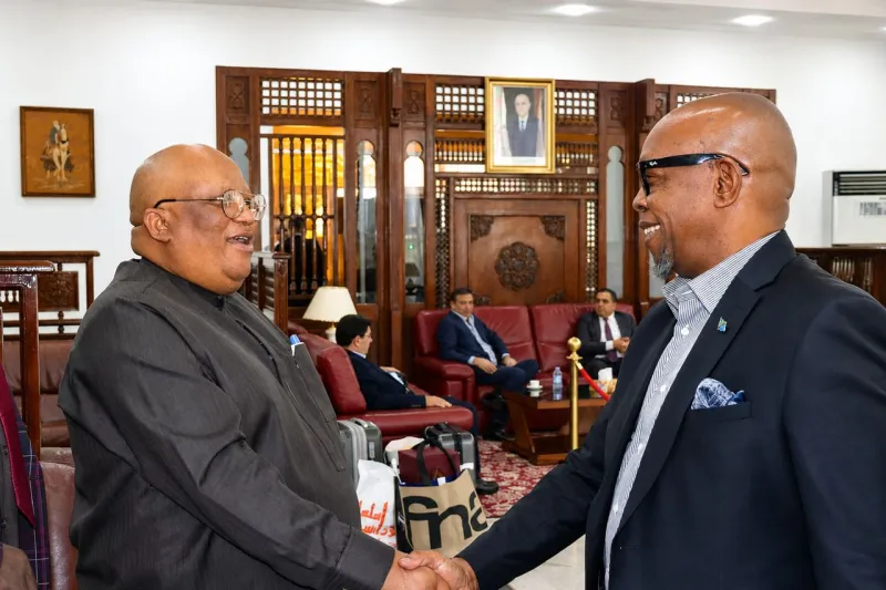 Matinyi de Tanzanie commence sa mission d'ambassadeur en Algérie