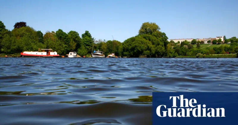 La Tamise obtient son premier site de baignade officiel à Londres