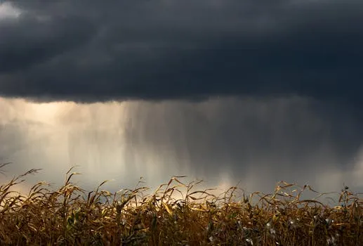 Pluies d'orages normales pour la saison