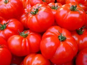 Prix des tomates à Toulouse : jusqu'à 7,90 €/kg