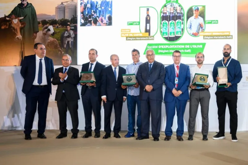 Top 12 des huiles d'olive vierges extra au Maroc 2026