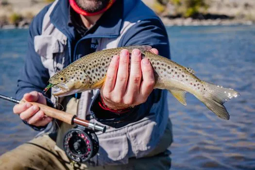 Trout Fishing in America to kick off 50th anniversary tour at WAC