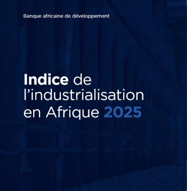 La Tunisie 5e à l'indice d'industrialisation en Afrique