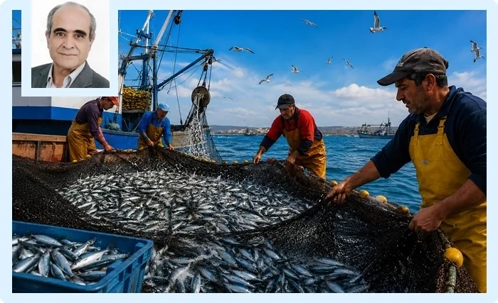 La sardine tunisienne : un trésor national menacé