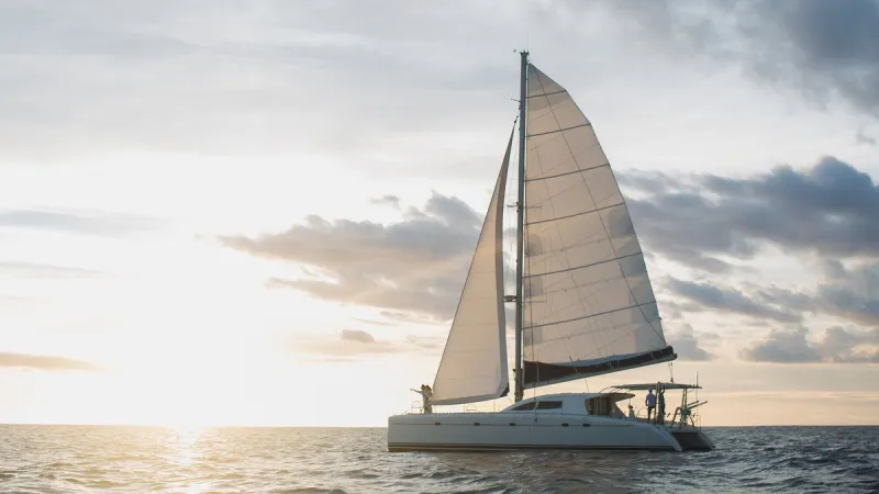Deux marins français disparus en mer retrouvés vivants par un cargo