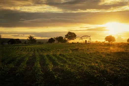 Le Parlement ougandais approuve 734 milliards de shillings pour l'irrigation solaire