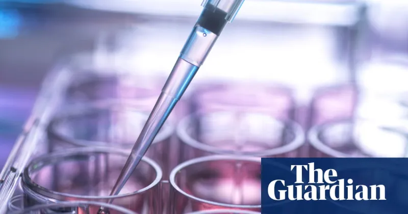 Le système de greffe de cellules souches au Royaume-Uni 'met des vies en danger'