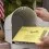 Règles de vote postal de l'USPS : changements possibles