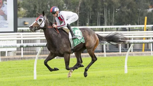 Aperçu des courses à Warwick Farm : conseils pour le 15 juillet