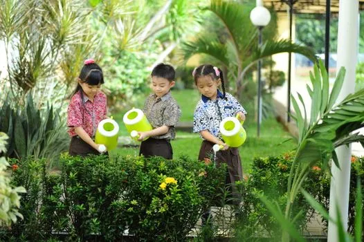 Des élèves de Wexford apprennent l'horticulture dans un projet de jardin scolaire