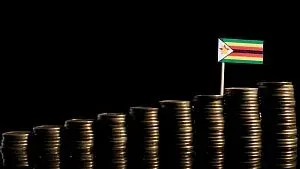 Le Zimbabwe cherche 200M$ d'investissements des EAU pour mines, énergie, agri