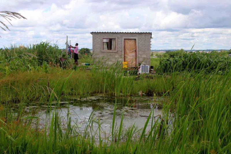 Les sénateurs zimbabwéens alertent sur la destruction des zones humides